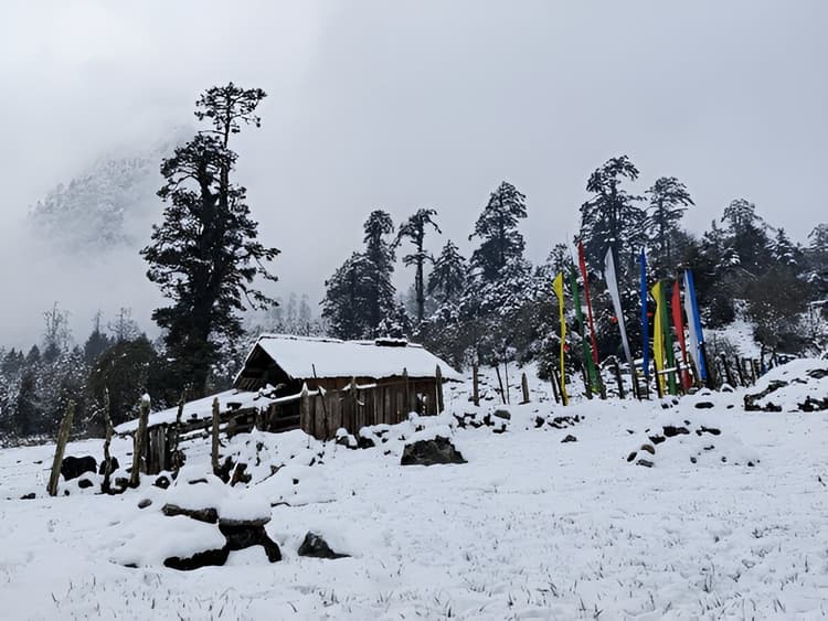 Sikkim