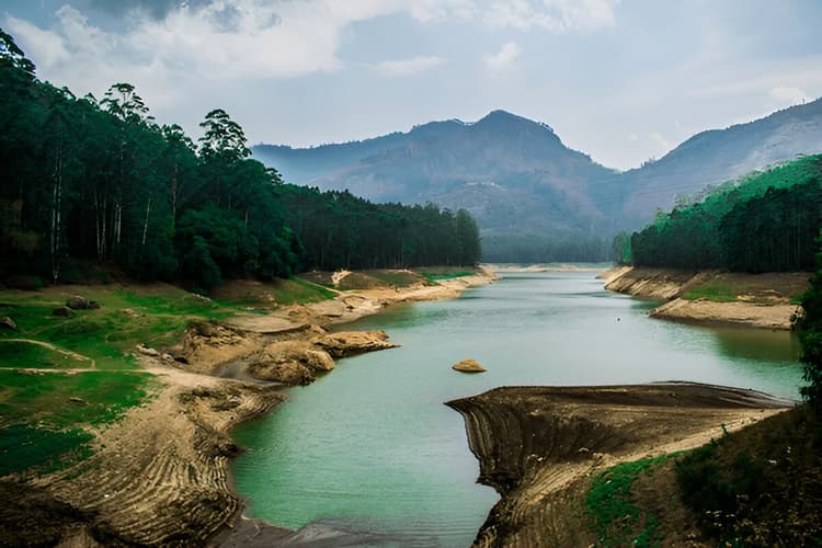 Eco Point, Munnar