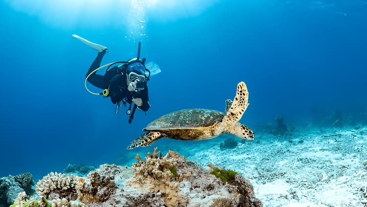 Andaman