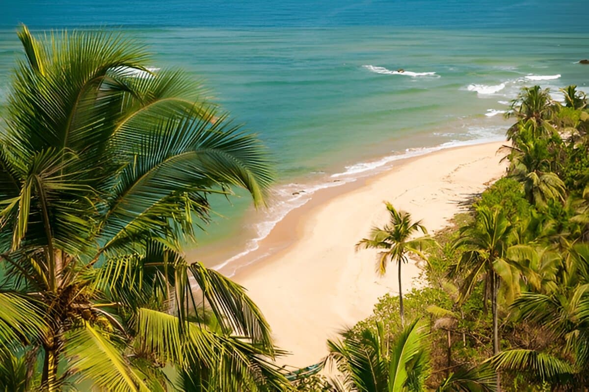 GOA
