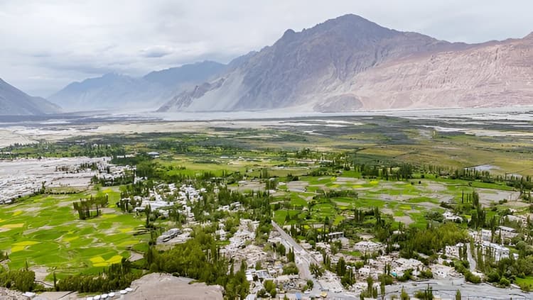 LEH-TURTUK-LEH