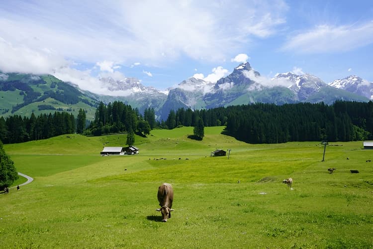 Breathtaking Kashmir