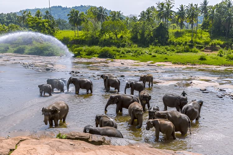 Sri Lanka 