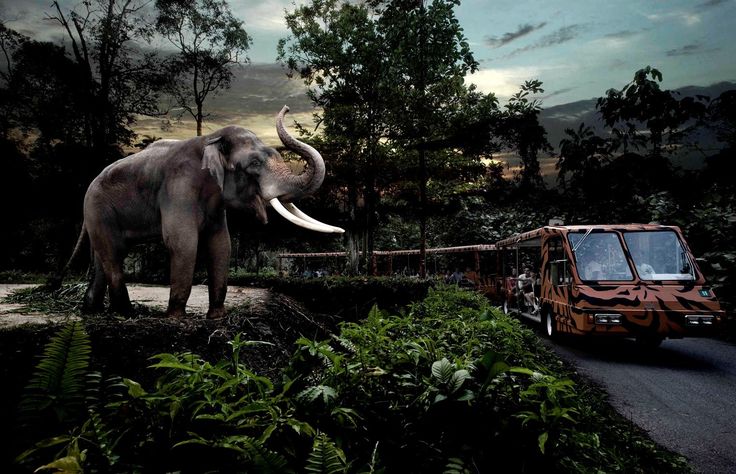 Set in lush secondary rainforest, this is a…