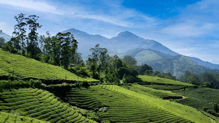 Kerala