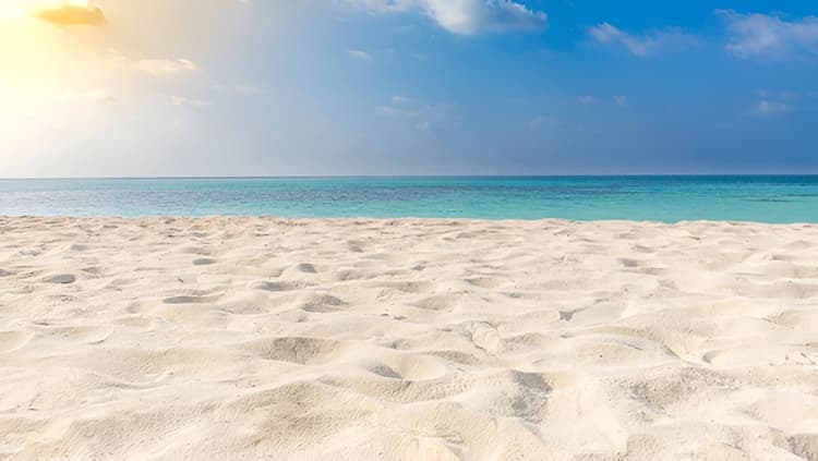 White Sandy Beach