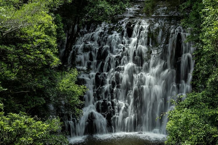 Meghalaya