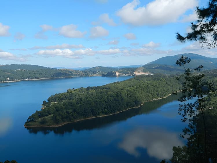 Assam and Meghalaya 