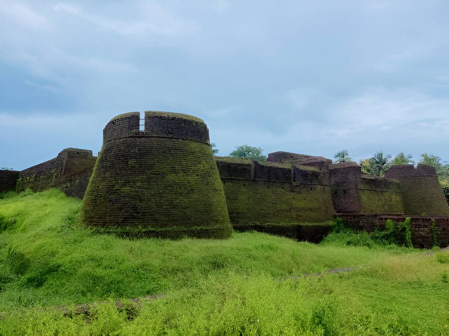 Blog image